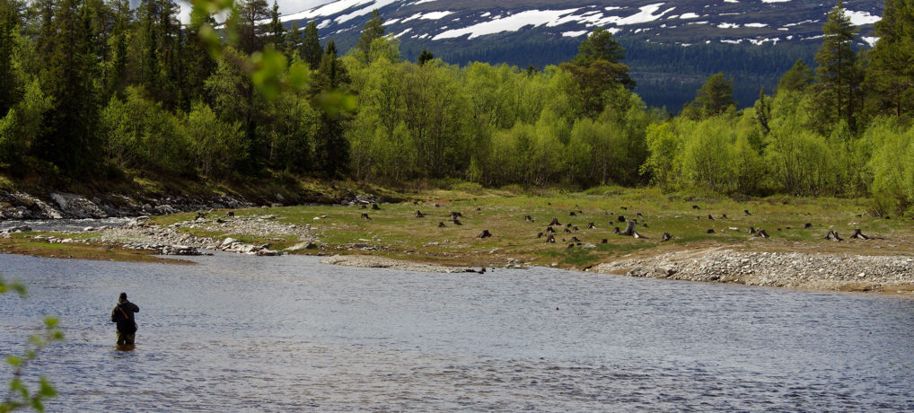 Fiskevårdsföreningen