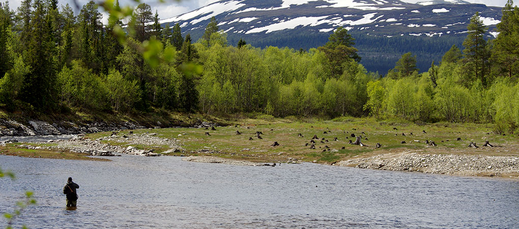 Fiske i Härjedalen, Suède